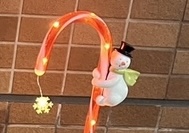本社では花壇がクリスマスムードに！